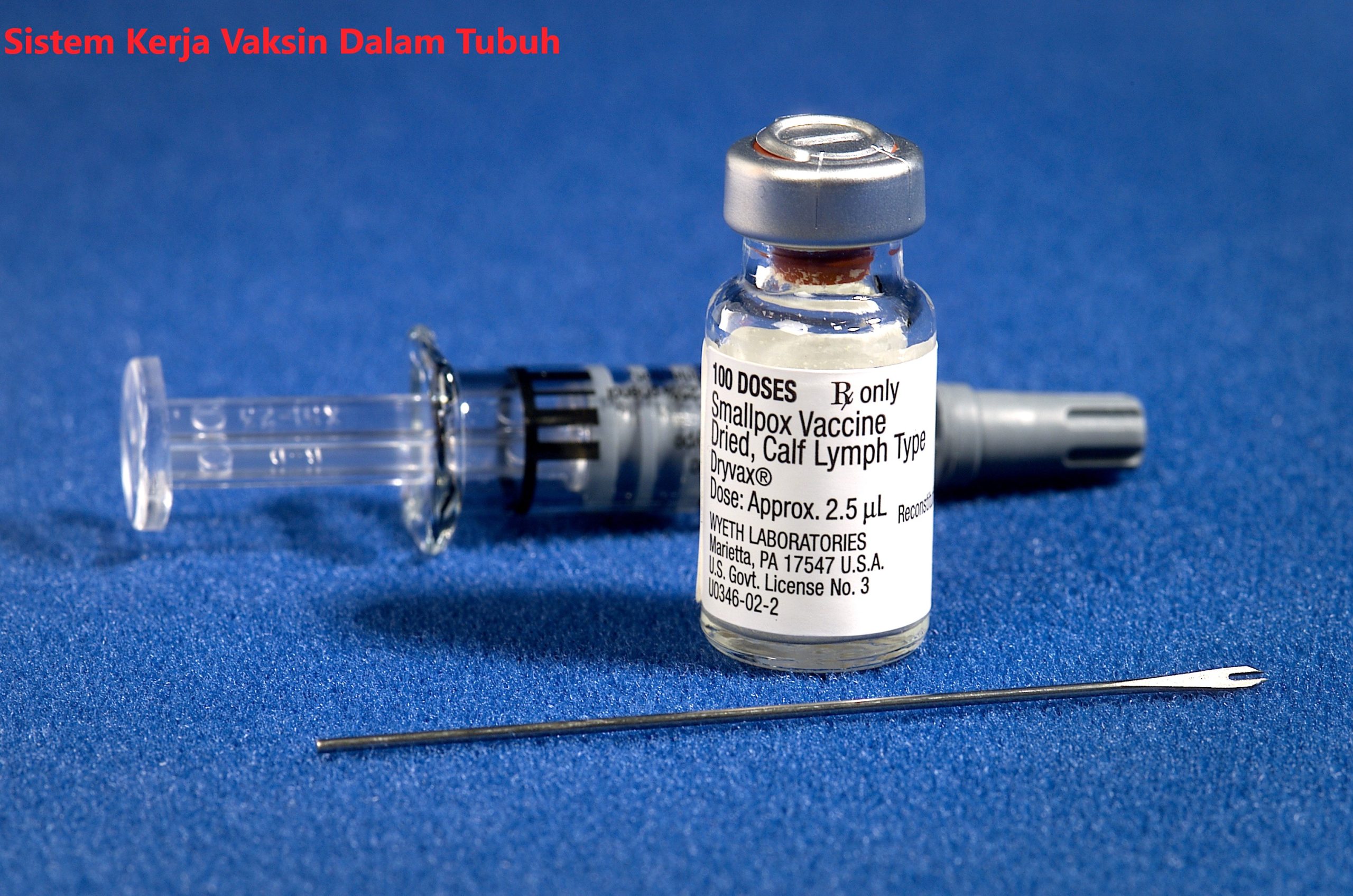Sistem Kerja Vaksin Dalam Tubuh
